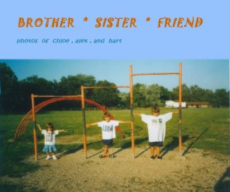 BROTHER  *  SISTER  *  FRIEND book cover