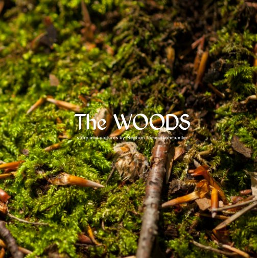 View The Woods by Meghan Tomeo-Lohmueller
