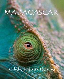 Madascagar book cover