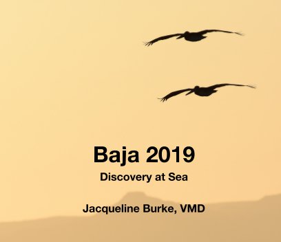 Baja 2019 book cover
