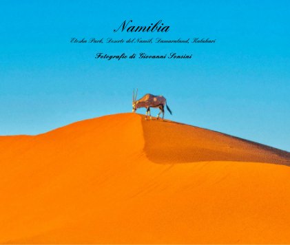Namibia Etosha Park, Deserto del Namib, Damaraland, Kalahari book cover