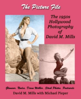 The Picture File book cover