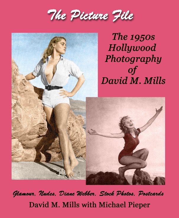 View The Picture File by David M. Mills, Michael Pieper