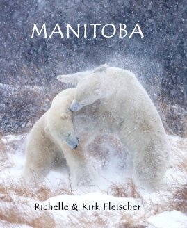 Manitoba book cover