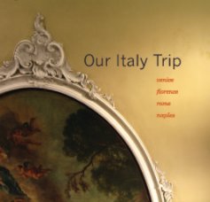 Our Italy Trip book cover