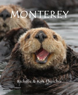 Monterey book cover