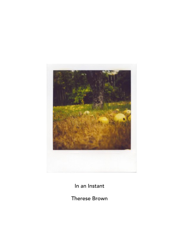 View In an Instant by Therese Brown