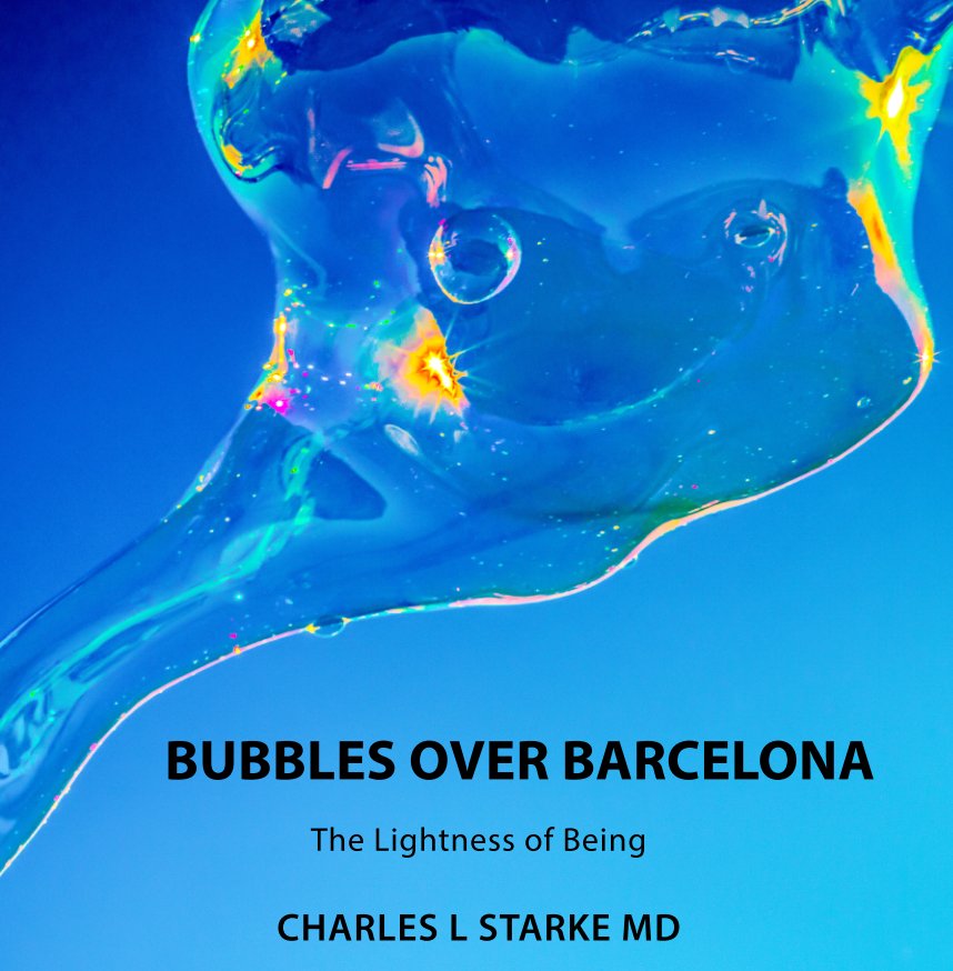 View Bubbles Over Barcelona by Charles L. Starke MD