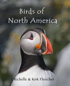Birds of North America book cover