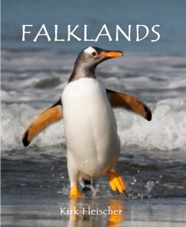 Falklands book cover