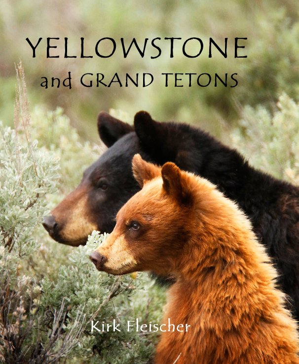 View Yellowstone and Grand Tetons by Kirk Fleischer