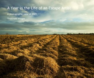 A Year in the Life of an Escape Artist book cover