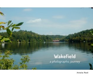 Wakefield book cover