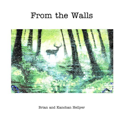 View From the Walls by Brian and Kanchan Hellyer