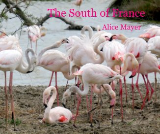 The South of France book cover