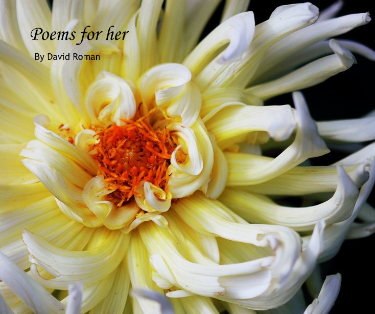 View Poems for her by David Roman