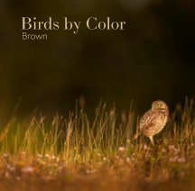 Birds by Color - Brown book cover