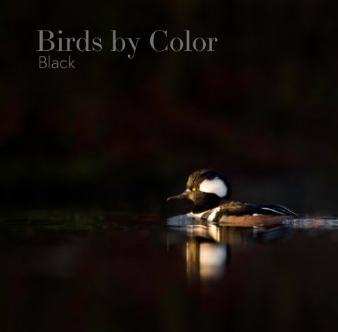 Bekijk Birds by Color - Black op Ray Hennessy