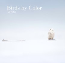 Birds by Color - White book cover