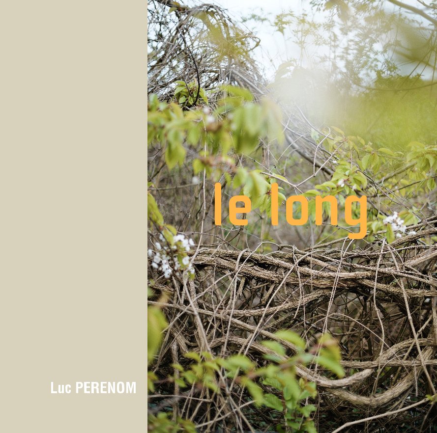 Ver le long por Luc PERENOM