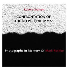 Confrontation of the Deepest Dilemmas book cover
