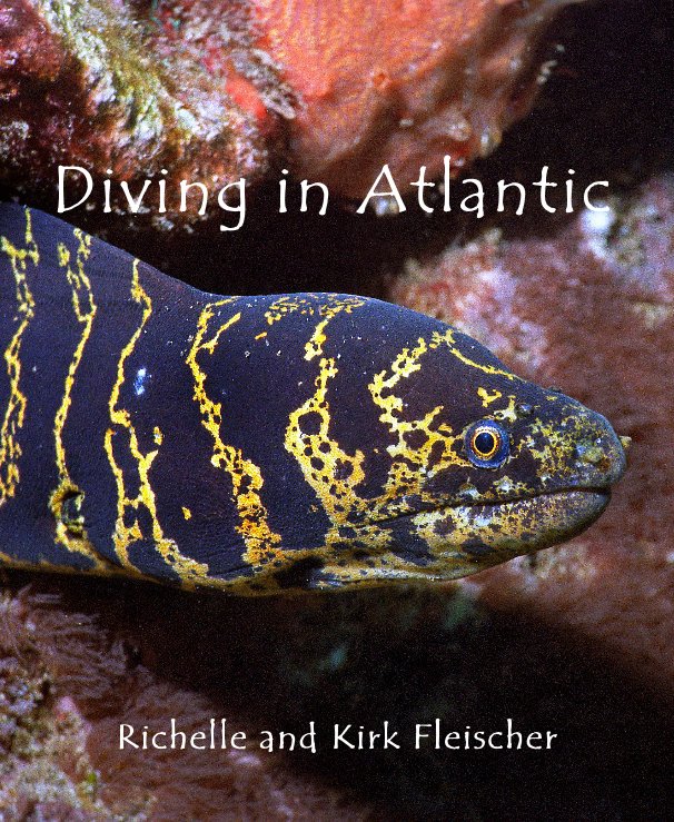 View Diving in Atlantic by Richelle and Kirk Fleischer