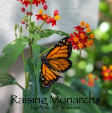 Raising Monarchs book cover