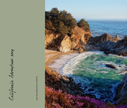 California Adventure 2009 book cover