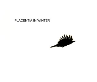 Placentia In Winter book cover