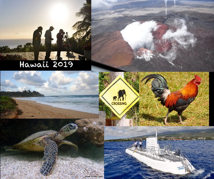 Ver Hawaii 2019 por Caroline Banz