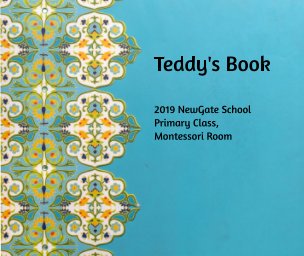 2019 NewGate Primary Class (Ms. Chris) book cover