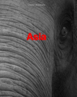 Asia book cover