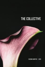 The Collective: A Photography LookBook book cover