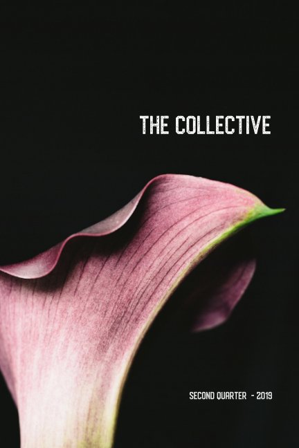 The Collective: A Photography LookBook nach Don Giannatti anzeigen