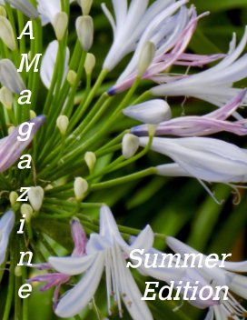 AMagazine Summer Edition book cover