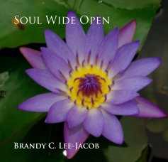 Soul Wide Open book cover