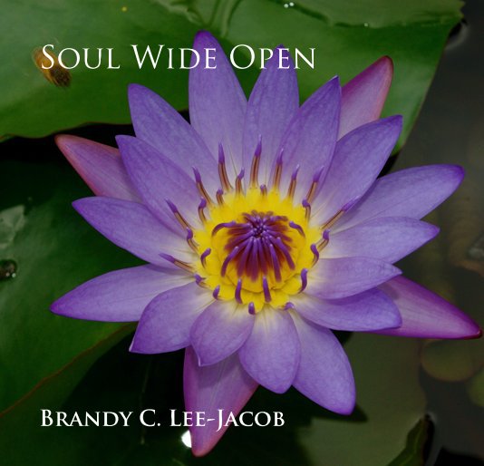 Bekijk Soul Wide Open op Brandy C. Lee-Jacob