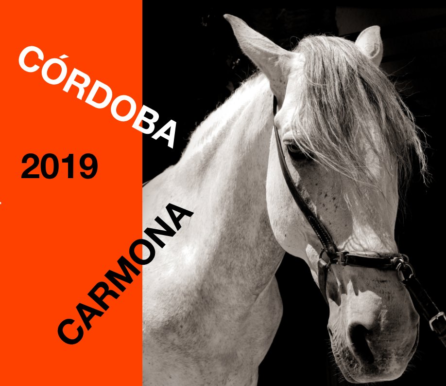 Visualizza Cordoba and Carmona 2019 di CHRIS DAWES