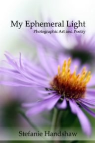 My Ephemeral Light book cover