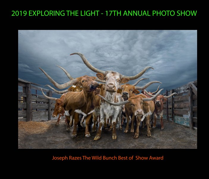 View Exploring the Light 2019 by Lone Tree Photo Club