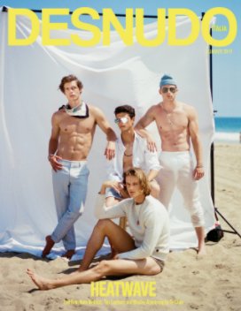 Desnudo Magazine Italia Issue 3 - Leif, Nate, Tim and Wesley Cover book cover