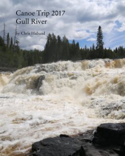 Canoe Trip 2017: Gull River book cover