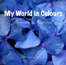 My World in Colours book cover