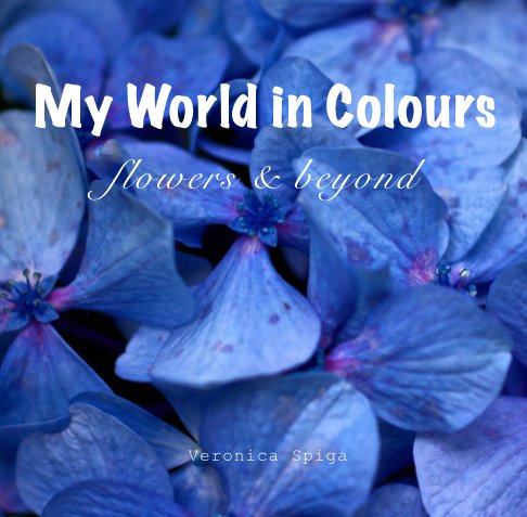 My World in Colours nach Veronica Spiga anzeigen