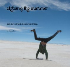 Chasing The Summer book cover