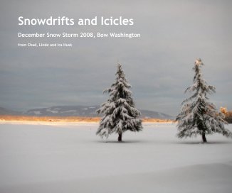 Snowdrifts and Icicles book cover