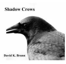 Shadow Crows book cover