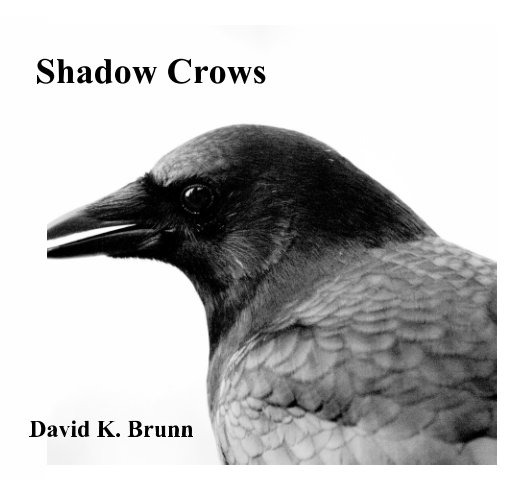 View Shadow Crows by David K. Brunn
