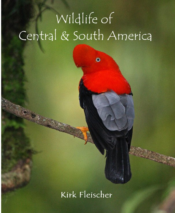 Ver Wildlife of Central and South America por Kirk Fleischer