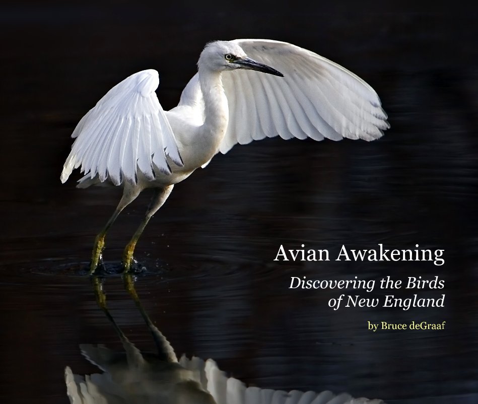 Bekijk Avian Awakening (Limited Time First Edition) op Bruce deGraaf